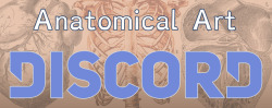anatomicalart:Great news everyone, AnatomicalArt now has a Discord