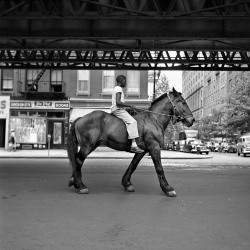 Vivian Maier  NYC