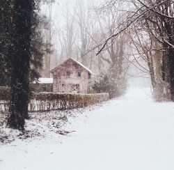 with-grace-and-guts:  Locust Valley, NY {@Kyle Kuiper // Instagram}