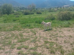 I had fun taking these two to Bear Creek.