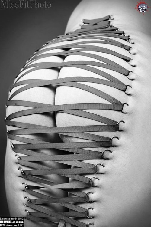 itsoktobemarty:  Corset Piercings, because fuck yeah! photo credits: (1) (2) (3) (4) (5) (6) (7) (8) please tell me if my credits are wrong. i did everything possible to find the source, but pinterest keeps getting in the way…