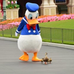 Just Donald taking a stroll with his family …  ;)