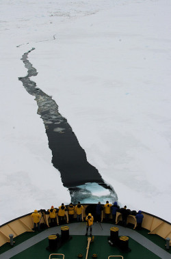 fabforgottennobility: Antarctica, november 2007 by Martha de