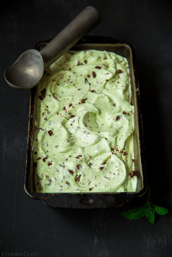 gastrogirl:  mint chocolate chip ice cream. 