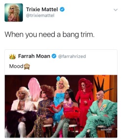 somemanyships:  Trixie Mattel tweets are the best part of the