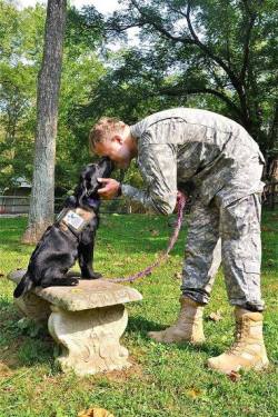 menandtheirdogs:    Dog Bless You  The human-animal bond : a