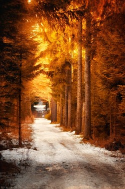 ponderation:  Days Of Gold by Marco Heisler  