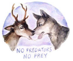 skoogers:  ceasepool:  kinesthetiac:  windowsphoneremake:  homealonethree:  slimgiltsoul:  NO PREDATORS !! NO PREY !!  t-shirt // print  are they kissing what the fuck  imagine seeing someone wearing this as a shirt  I would wear this shirt  honestly