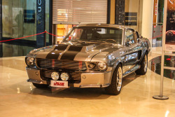 caraddiction:  Shelby GT500 (I) ‘67 Facebook I Flickr I Tumblr(s)