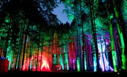 ausonia:  Electric Forest Music Festival, Rothbury, Michigan.