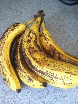 owlkinfit:  beautifulpicturesofhealthyfood:  Banana Oatmeal Breakfast