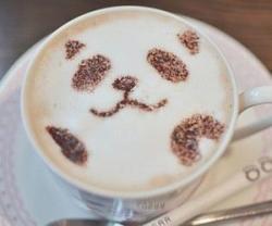 Panda  Koffie Follow Me Please  | via Facebook på @weheartit.com