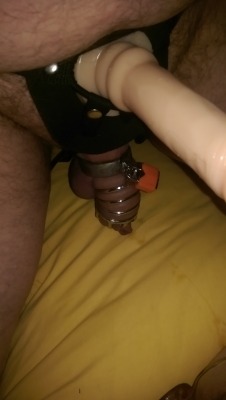 ownedbykitten:  Mistress ordered her slave to fuck her. Only