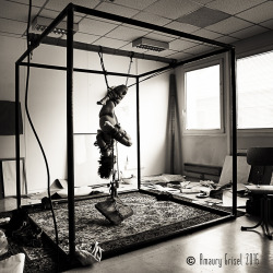 amaury-grisel-shibari:  amandine dans le cubeShibari & Photography