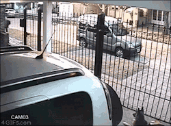 4gifs:  Quick-thinking woman foils a robbery