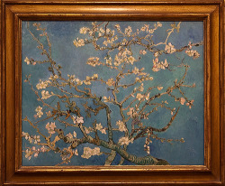 diamondheroes-deactivated201908: Vincent Van Gogh, Almong Blossom,