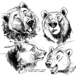 nintenerd64:  teagangavet:  Sketched some bears last night. 