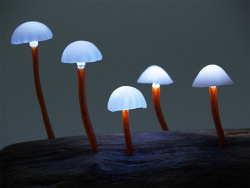 staceythinx:  LED Mushroom Lights by Japanese designer Yukio