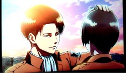 leviackrrman:this just in: levi ackerman is a softie