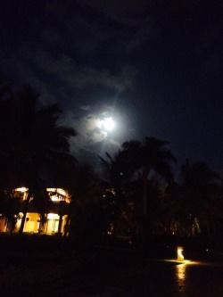 sidewalkchalkandsummernights:  #moon #tropical #caribbean