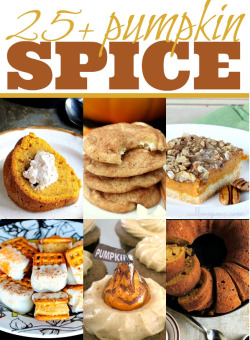 thecakebar:  Over 30 Pumpkin Spice Recipes! White Chocolate Pumpkin