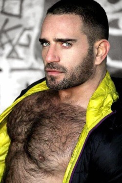 barricade2218:  topshelfmen:  The sexy hairy chest and brooding
