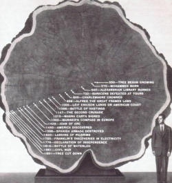 thingsorganizedneatly:  historicaltimes:Life of a Tree 550-1891ed:
