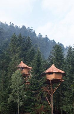 voiceofnature:  Treehouses at Bol d’Air, France 