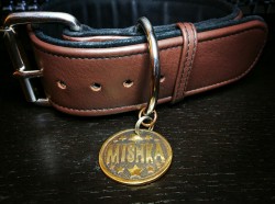 puplaika: pupmishka:  Guess who got a new tag!!! 😊  To celebrate