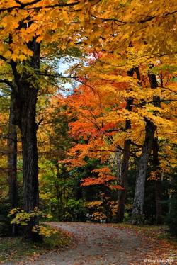 tokarphoto: Autumn roads…Algonquin Park, ON. Canada  ~ Coast