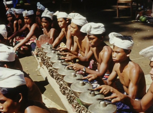   Balinese musicians, from David Attenborough’s Zoo Quest in Colour.  