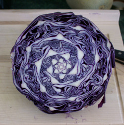curiosamathematica:  Cabbage exhibits a beautiful geometric pattern.