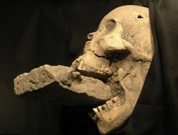 unexplained-events:  The remains of a female ‘vampire’ from