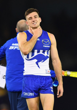 roscoe66:   Shaun Atley of the North Melbourne Kangaroos   