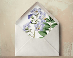 misswallflower:  envelope liners, found here 
