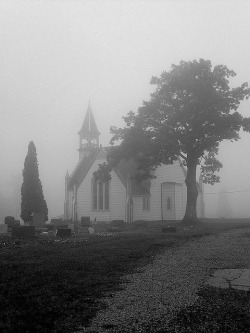 taphophilia:  Gothic by Universal Pops (David) on Flickr.