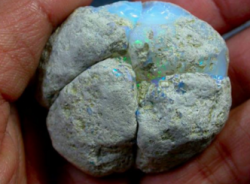 sixpenceee:  The inside of an Ethiopian opal looks like a hardboiled