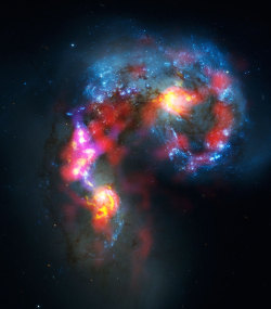 astronomicalwonders:  The Antennae Galaxies The Antennae Galaxies