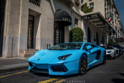 automotivated:  Lamborghini Aventador Lp700-4 Baby Blue (by Snatch