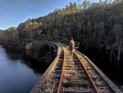 abandonedandurbex:  Unused railway bridge near Rosebery, Tasmania.