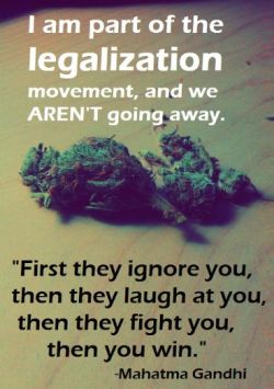 pineconeherb:  I am part of the legalization  MEDICINE!