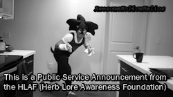 awesomehollowhelios:  A Public Service Announcement From the Herb Lore Awareness Foundation(Fast.EXE)((I thought of this out of nowhere lol It seemed pretty funny in my head))