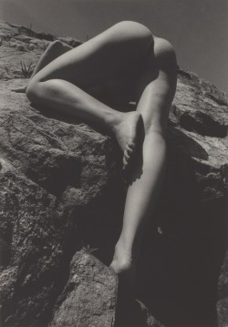 gacougnol:   Dianora Niccolini Untitled (Female Nude Climbing