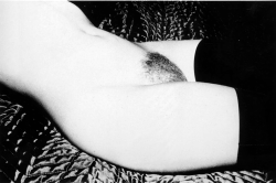 onlyoldphotography:  Ralph Gibson: Torso with stockings, 1979