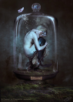 beautifulbizarremag:  WOW amazing new digital photomanipulation