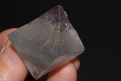 arockmaniac:Fluorite octahedron with pyrite inclusions