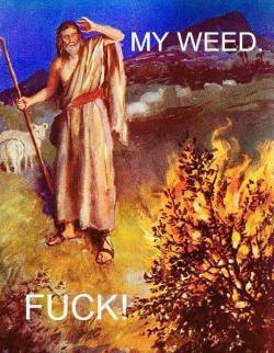 hello mary jane.