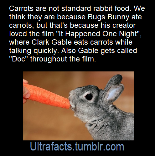 ultrafacts:Source: [x]Click HERE for more facts!