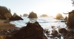 bryandaugherty:  Brookings, Oregon.