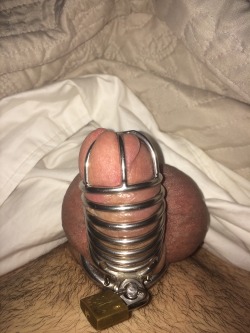 shoreguy23:  Morning wood.  Not very pleasant.  I’m trying